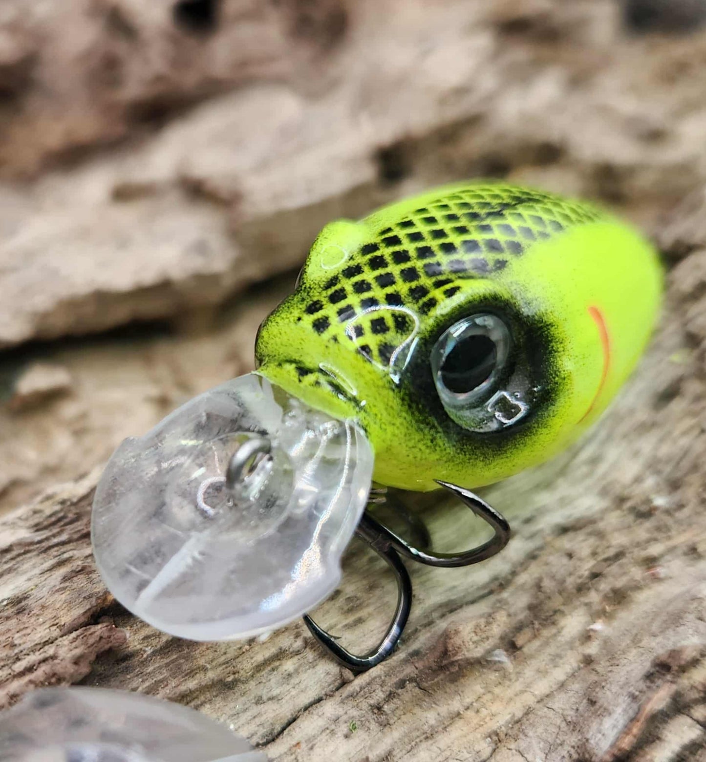 Megabass Griffon ko