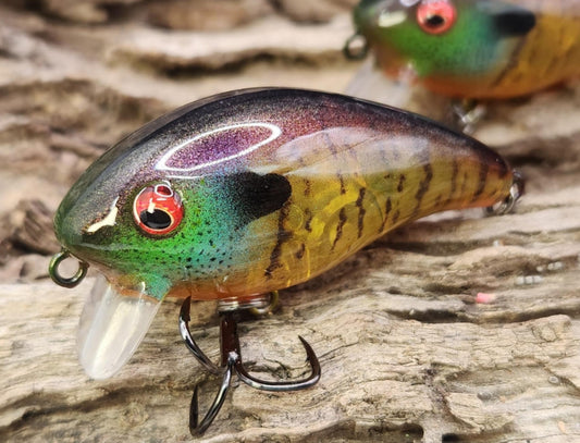 Mann's Baby 1 Minus ko