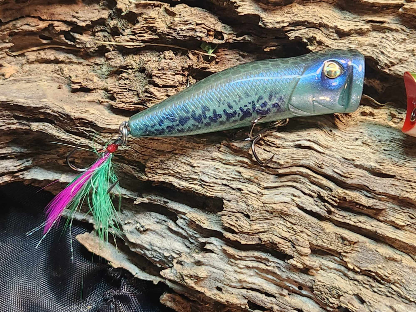Topwater Popper