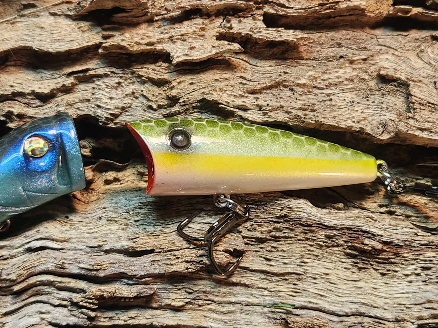Topwater Popper