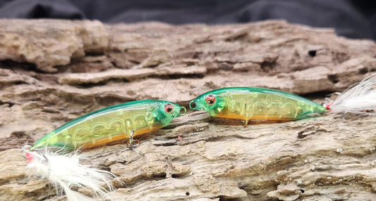 Megabass Karashi 60ko BFS