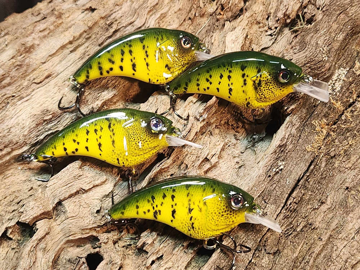 Megabass Sonicside ko. Clearance