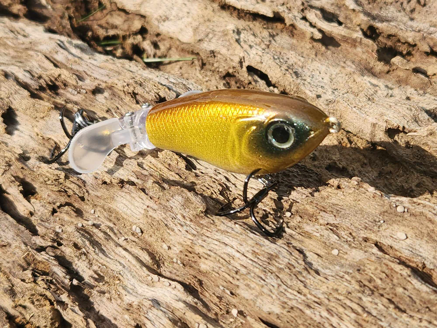 JDM LUXXE AVENGE PROP 80