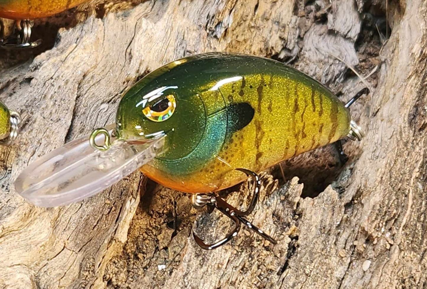 Angry Lil John. Clearance