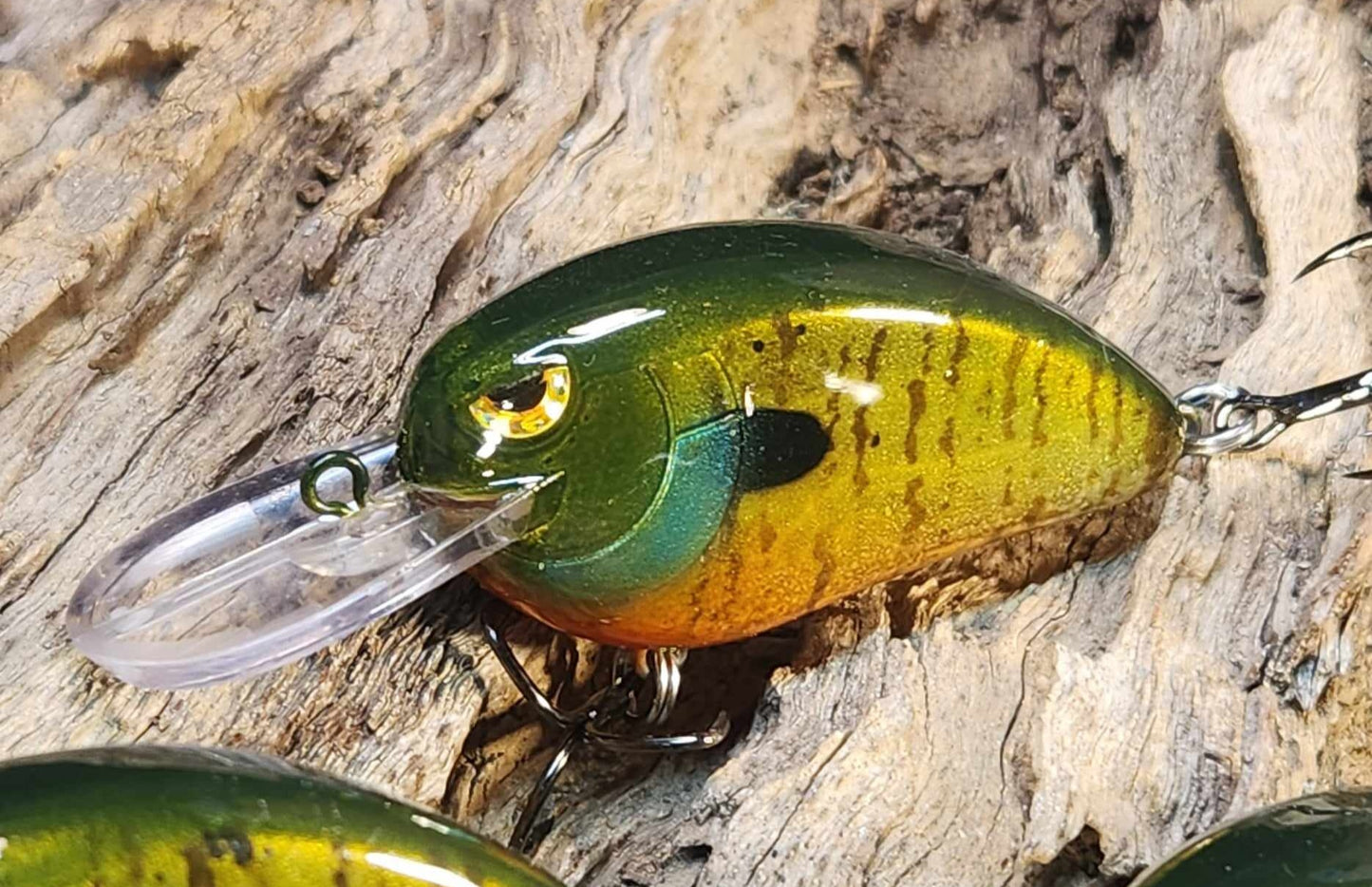 Angry Lil John. Clearance