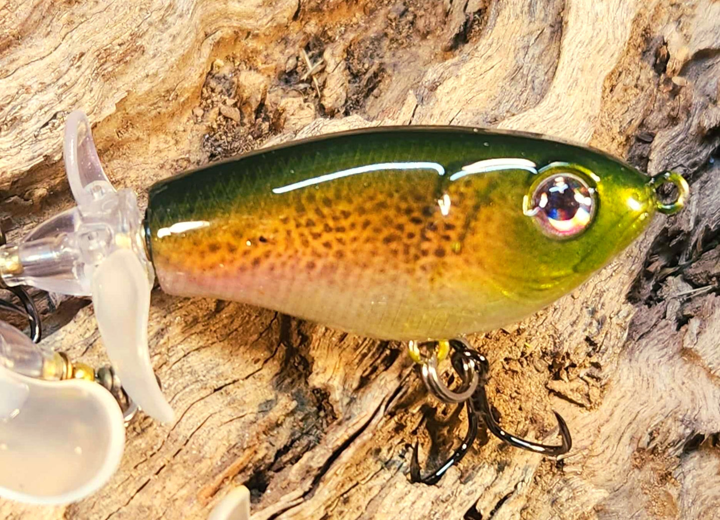 JDM Luxxe Avenge Prop 80