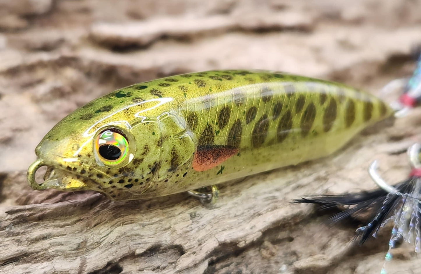 Megabass Karashi 75ko BFS