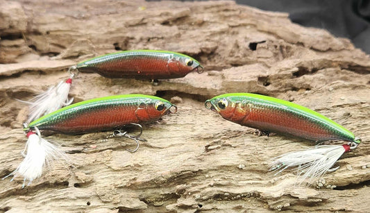 Megabass Karashi 60ko BFS