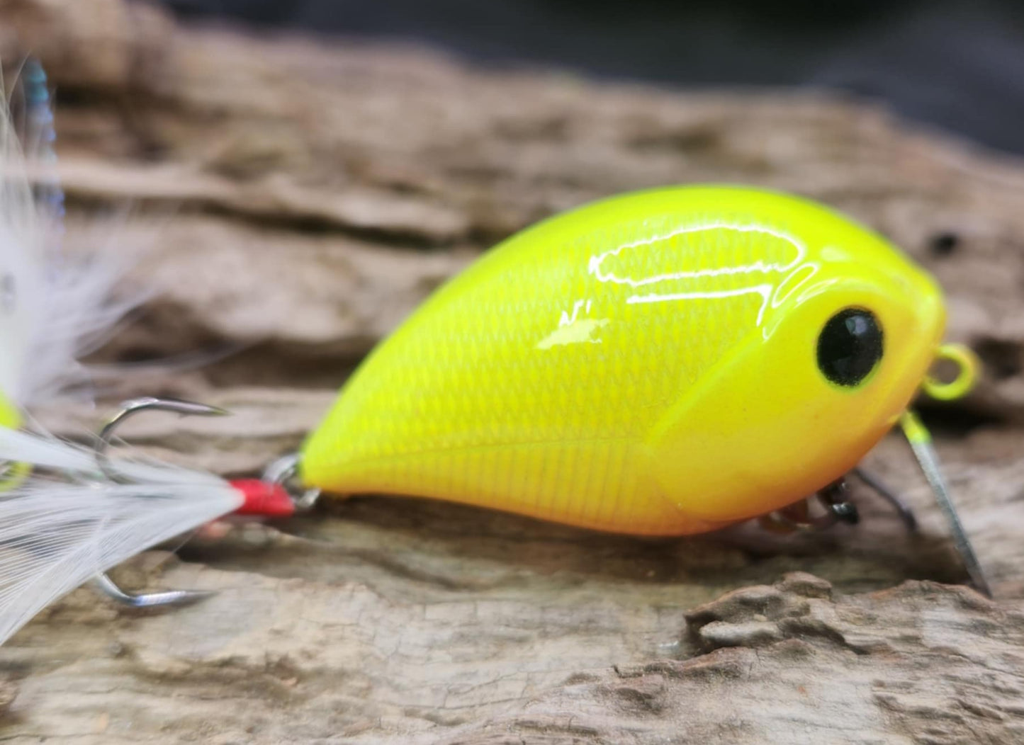 Bassday Feather Crank ko