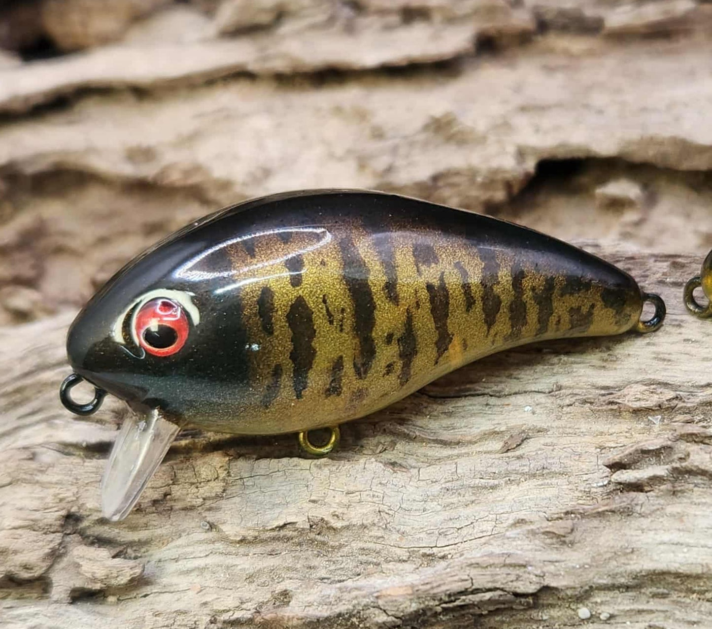 Mann's Baby 1 Minus ko