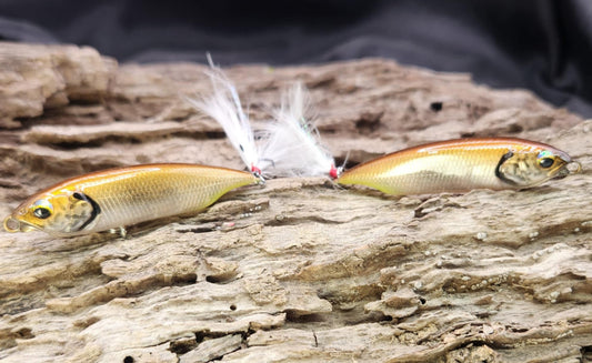 Megabass Karashi 60ko BFS