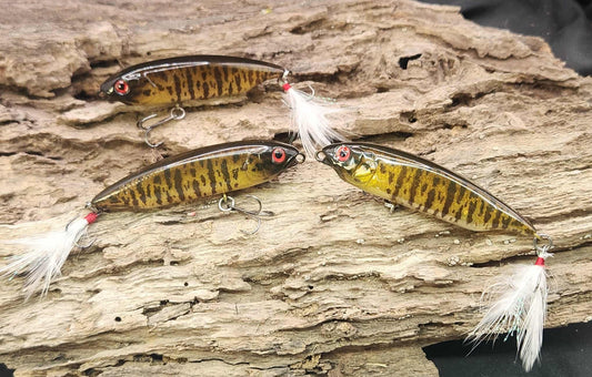 Megabass Karashi 75ko BFS