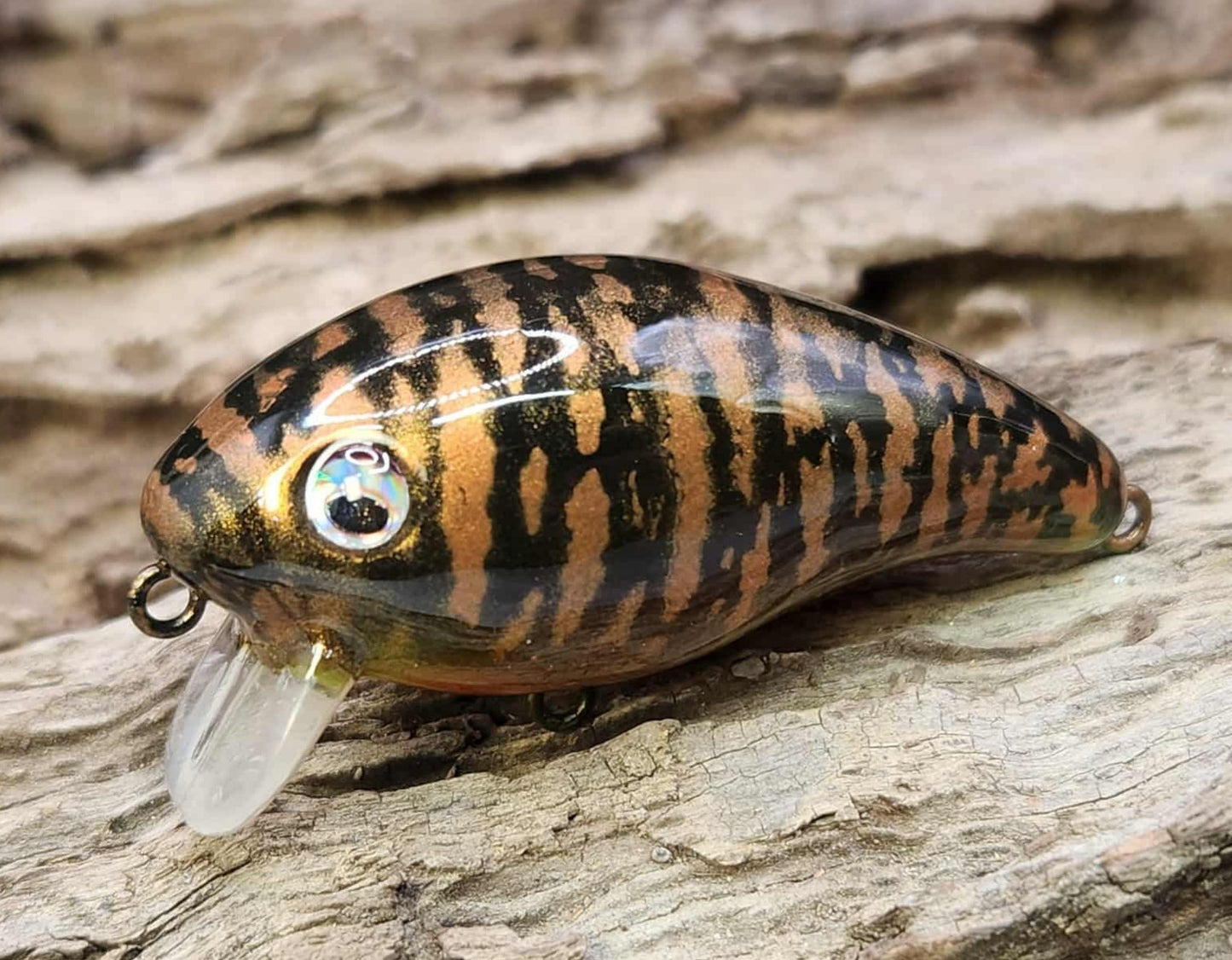 Mann's Baby 1 Minus ko