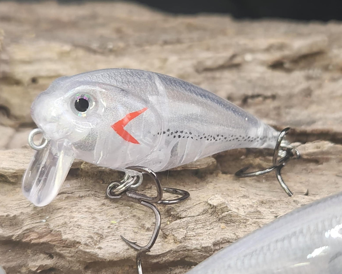 Twelve Oaks Signature Wake