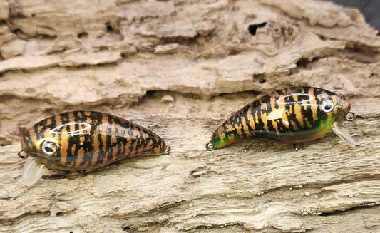 Mann's Baby 1 Minus ko