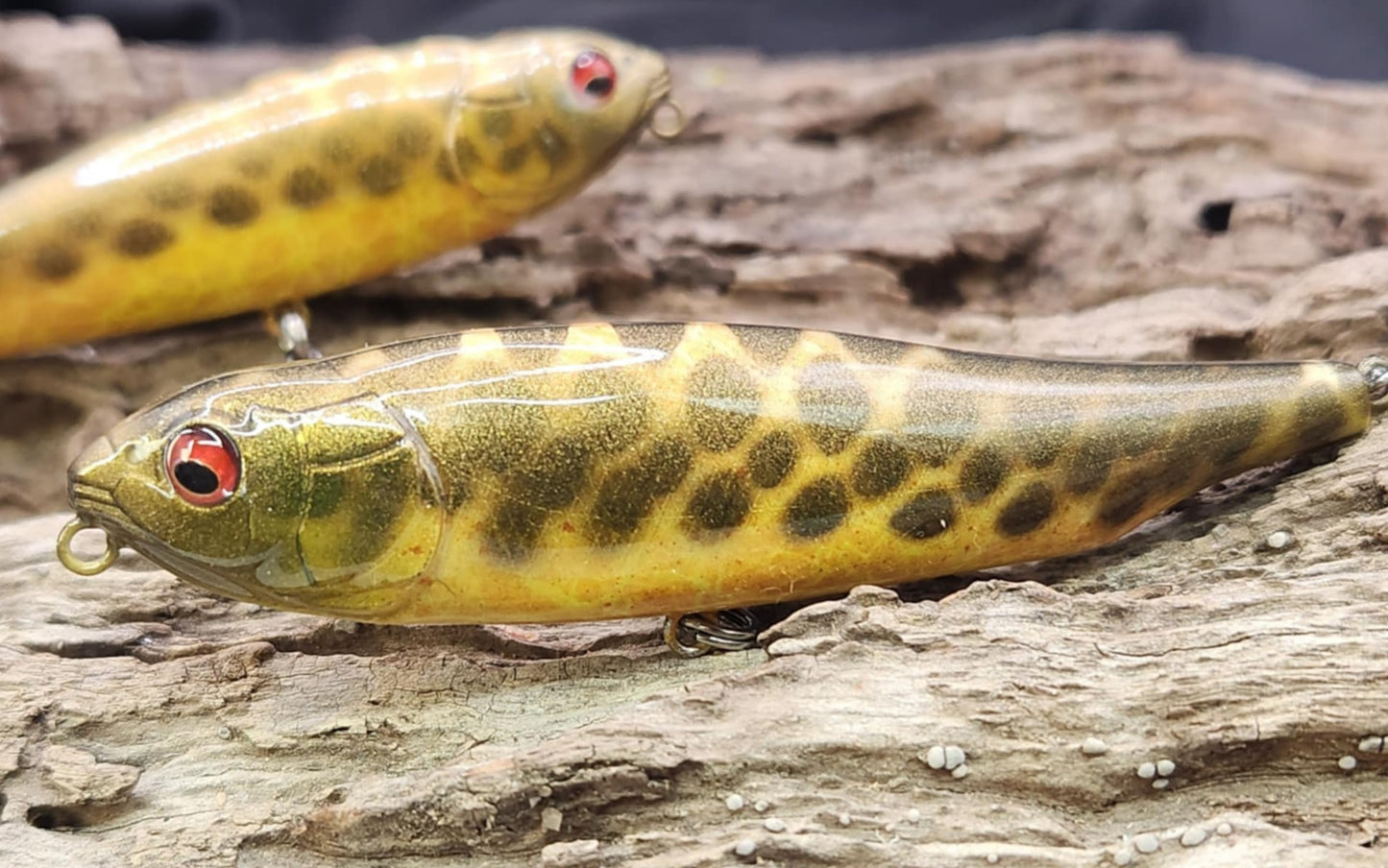 Megabass Giant Dog X ko