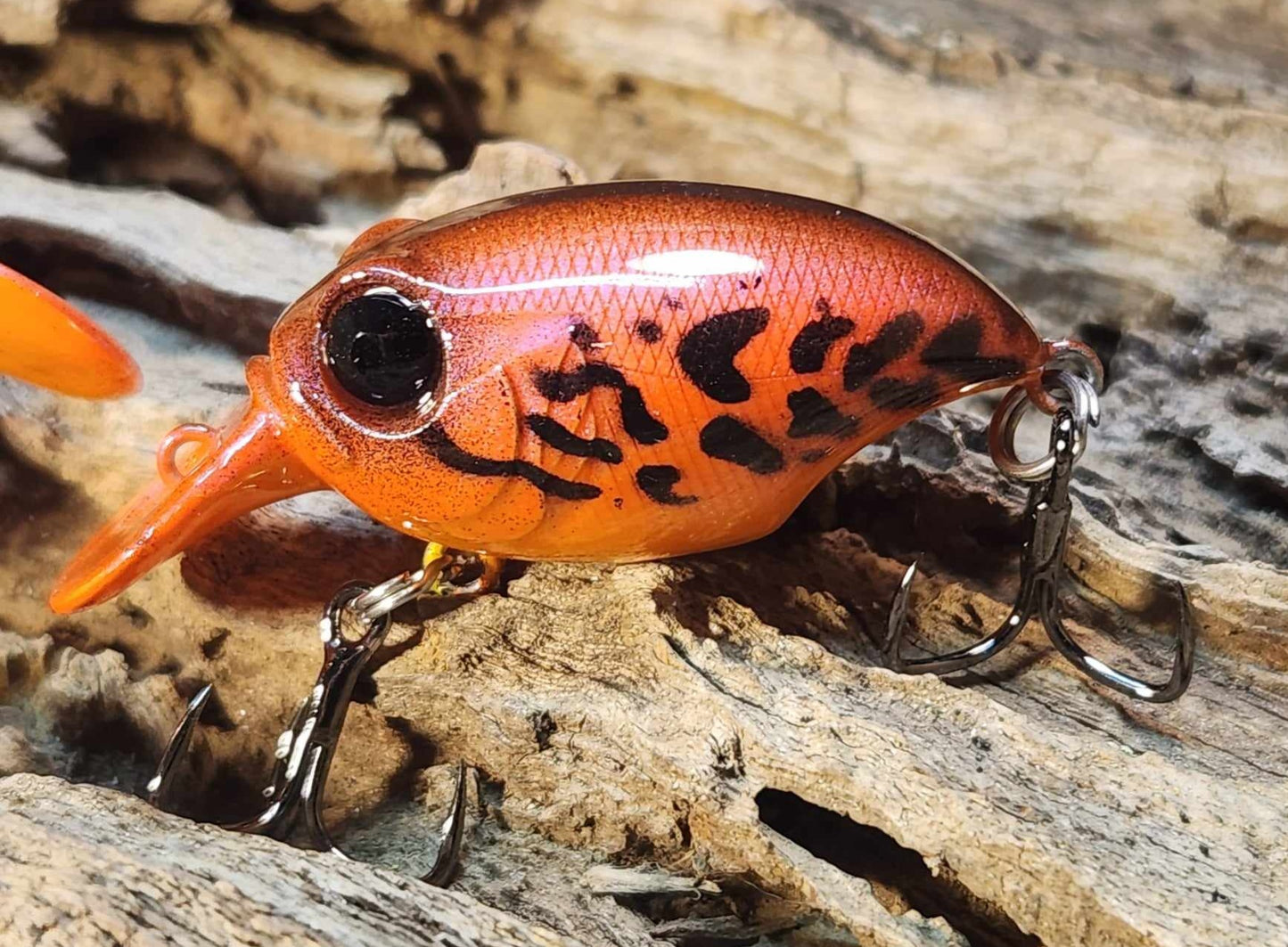 Megabass Griffon ko