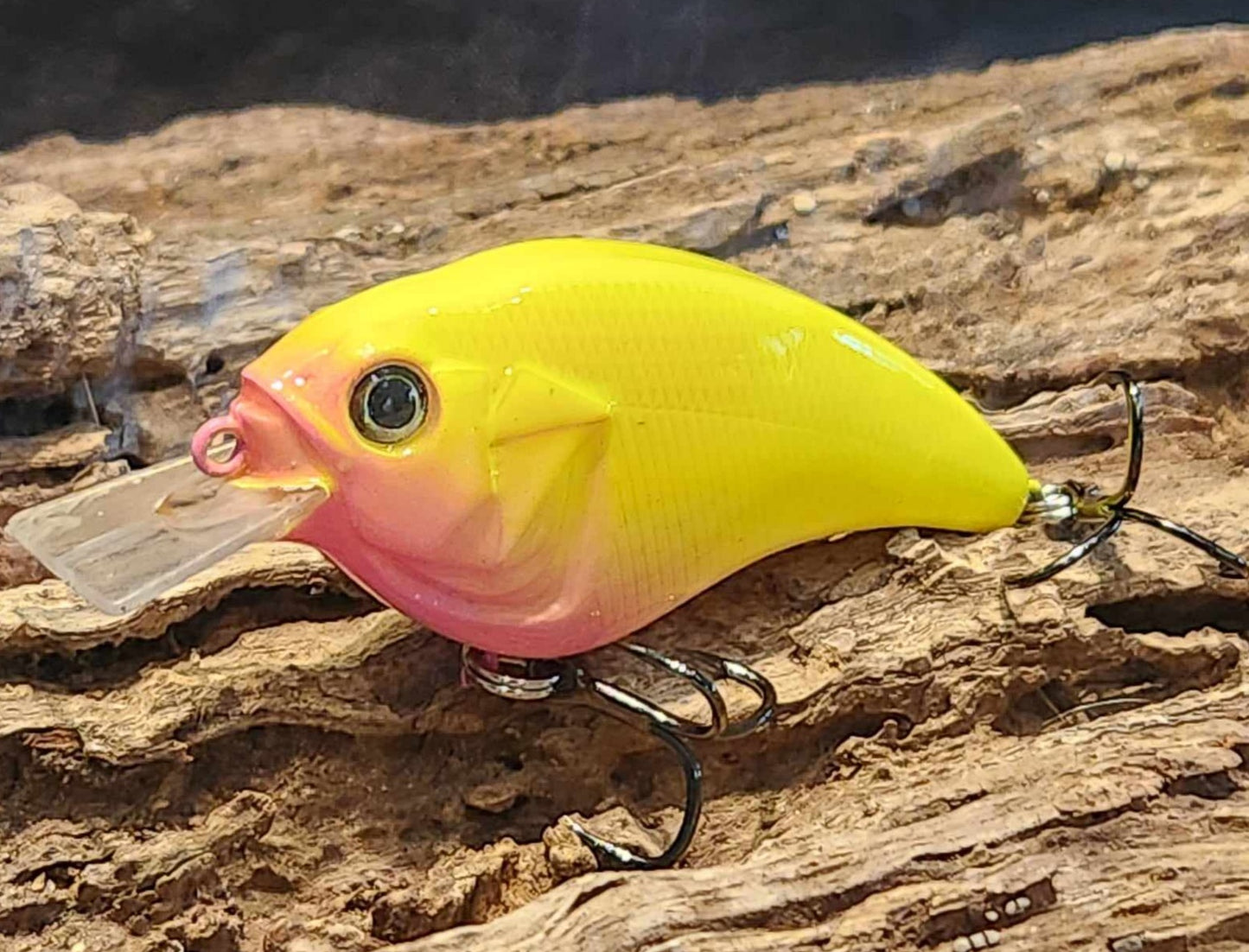 Megabass Sonicside ko. Clearance