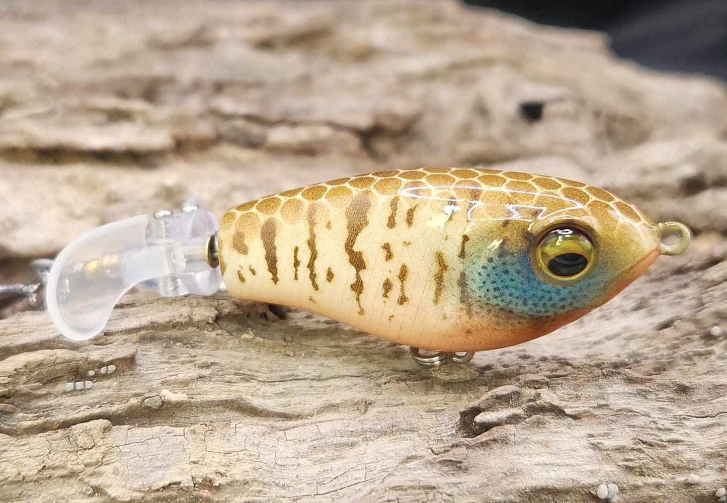 JDM Luxxe Avenge Prop 80