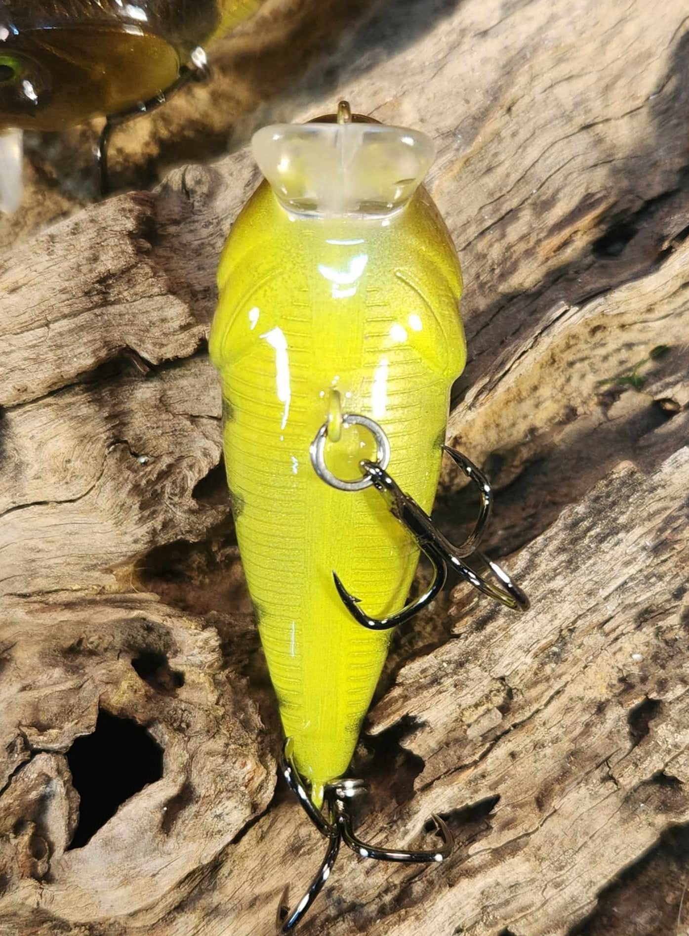 Twelve Oaks Signature Wake