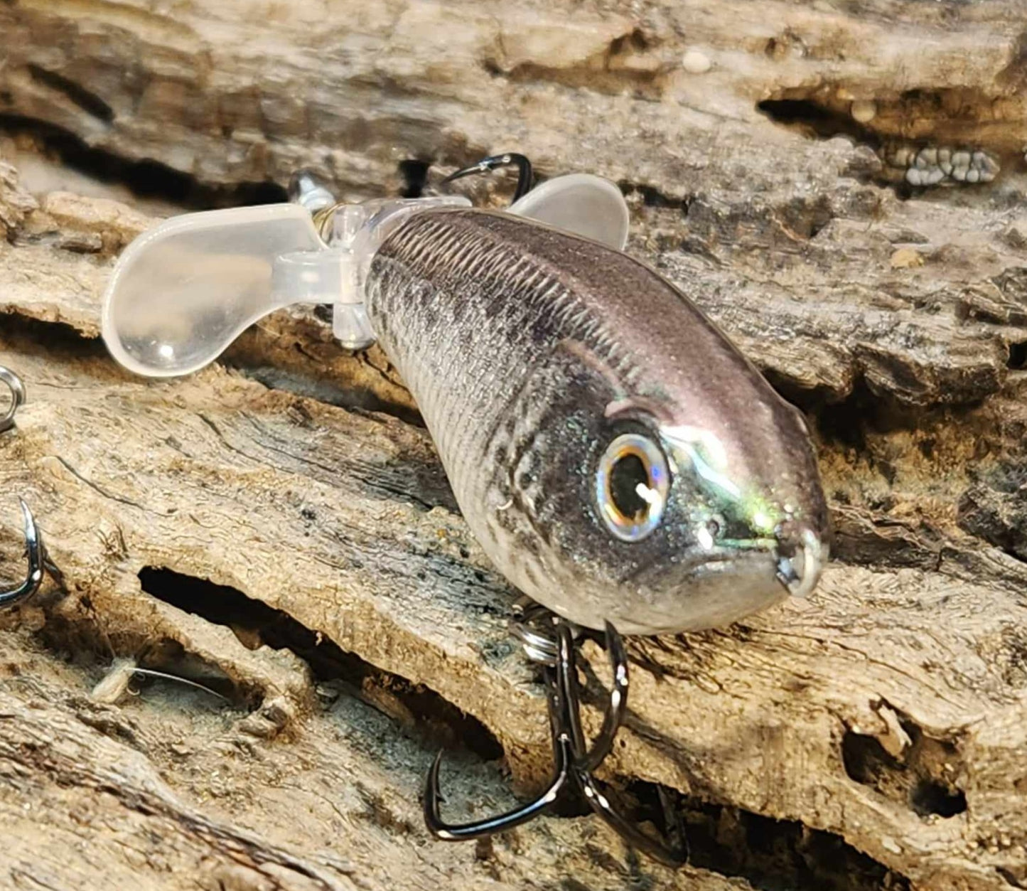 JDM Luxxe Avenge Prop 80