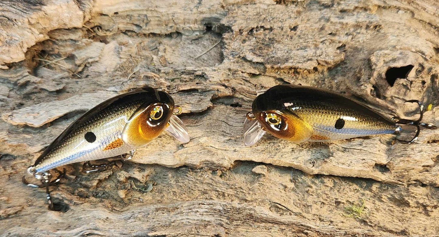 Twelve Oaks Signature Wake