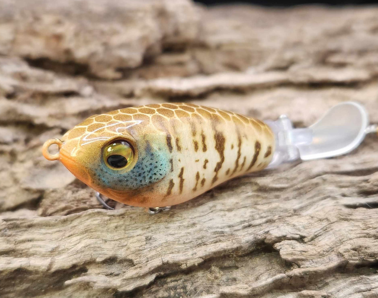 JDM Luxxe Avenge Prop 80