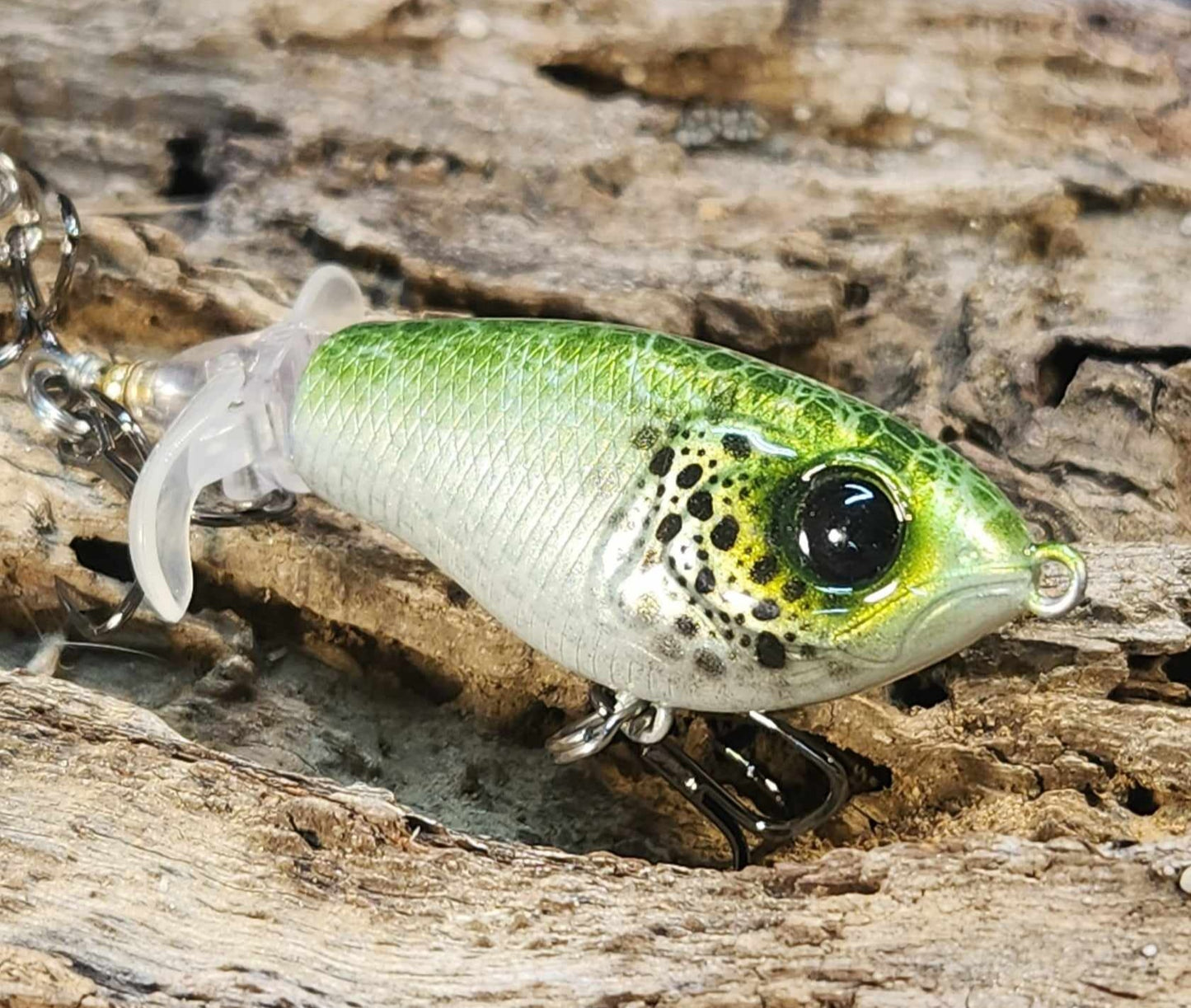 JDM Luxxe Avenge Prop 80