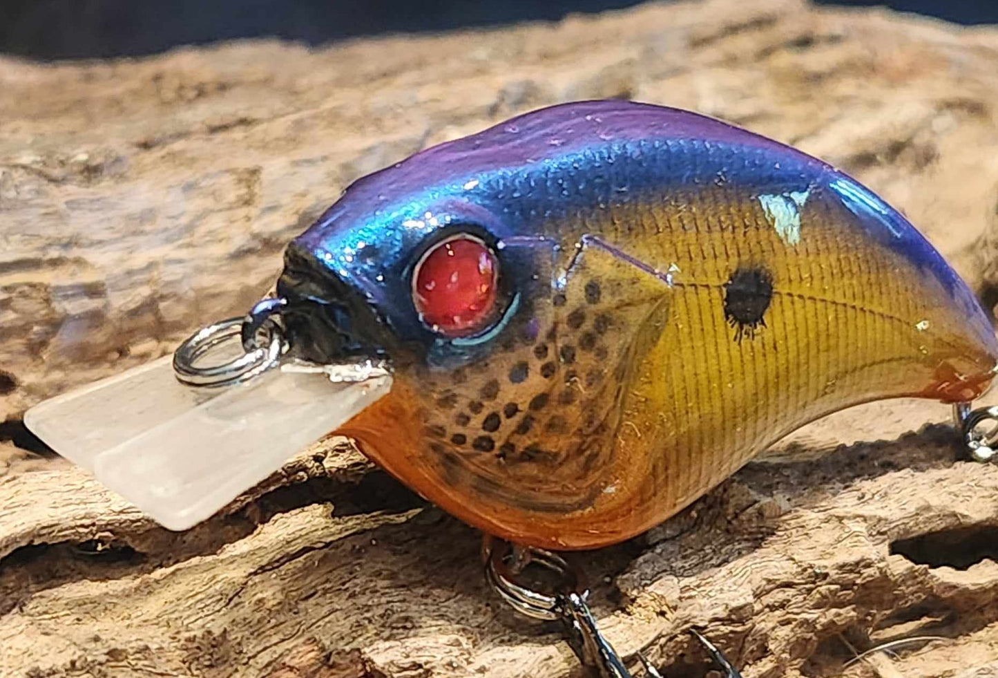Megabass Sonicside ko. Clearance