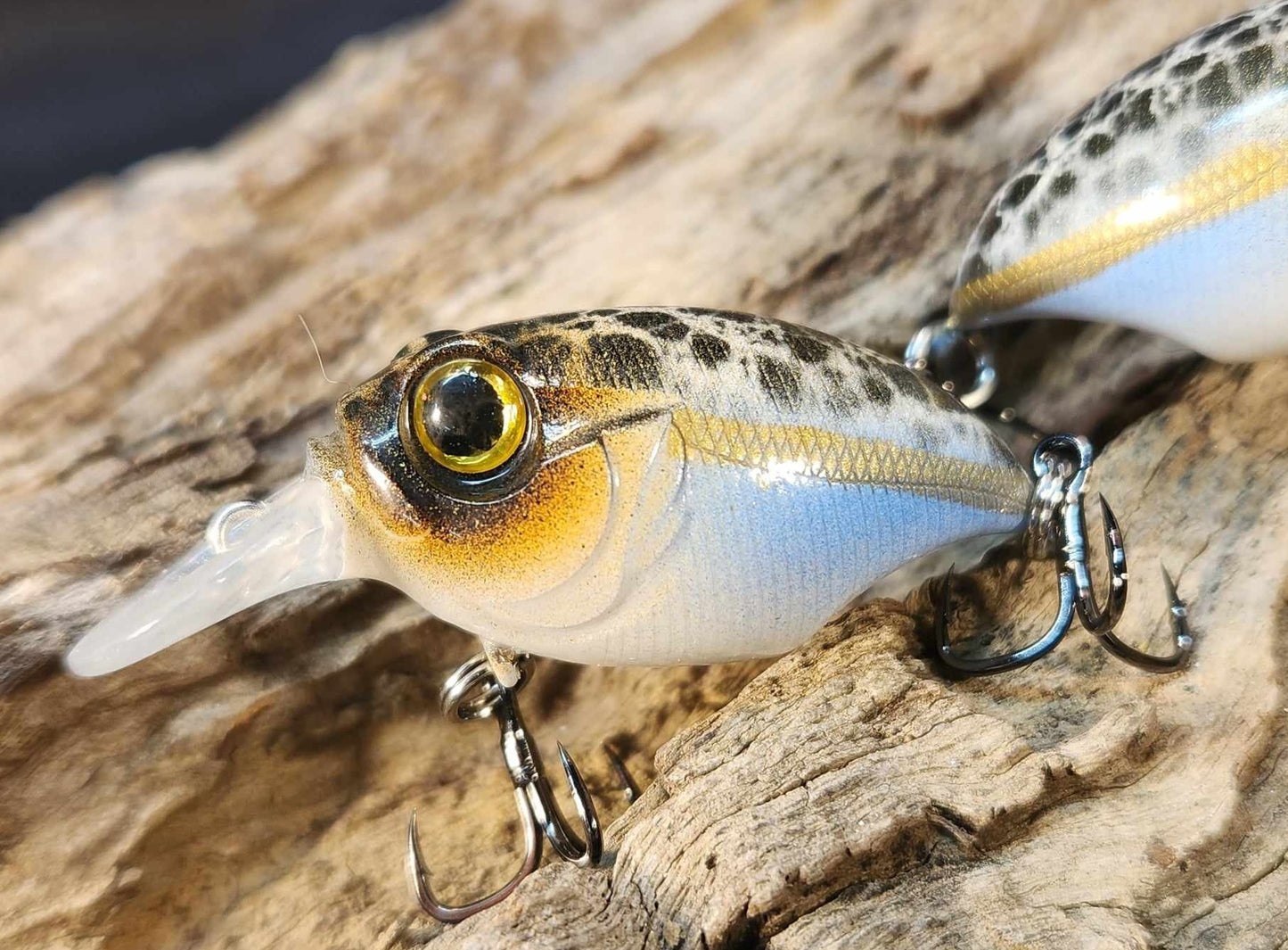 Megabass Griffon ko