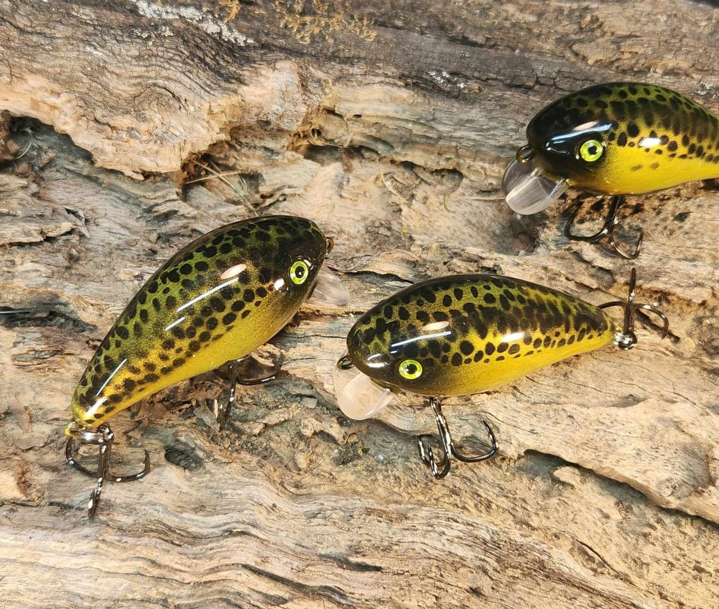 Mann's Baby 1 Minus ko