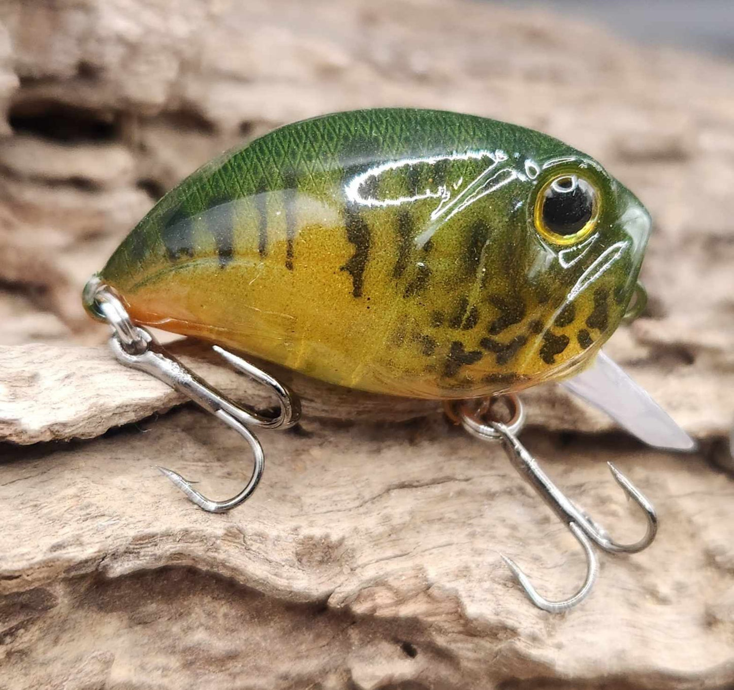Chubby Crankbait/Wakebait BFS