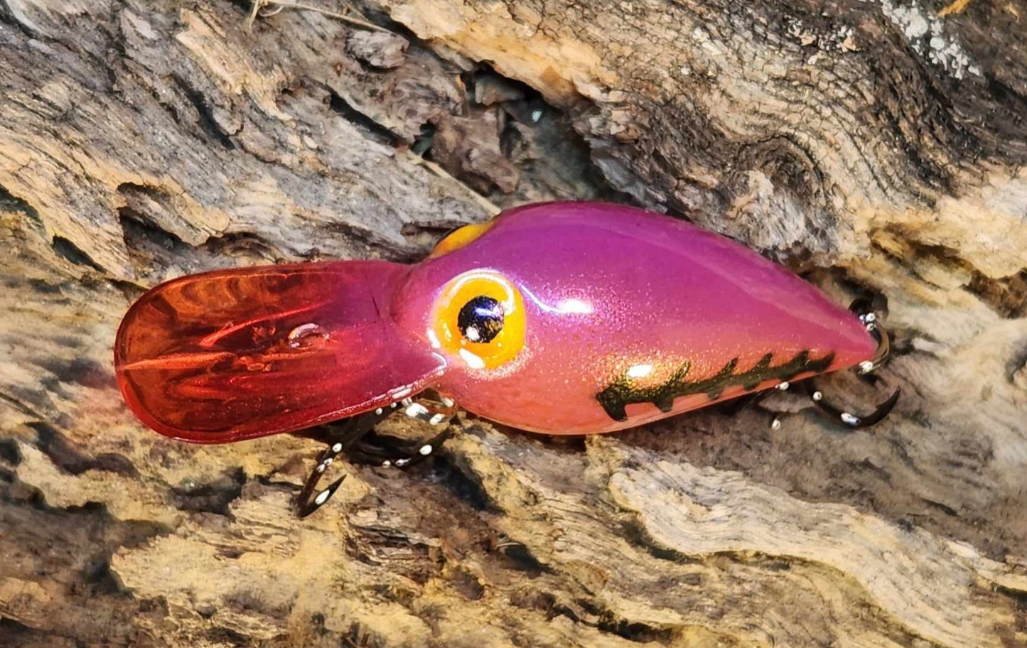 Wiggle Wart ko. Clearance