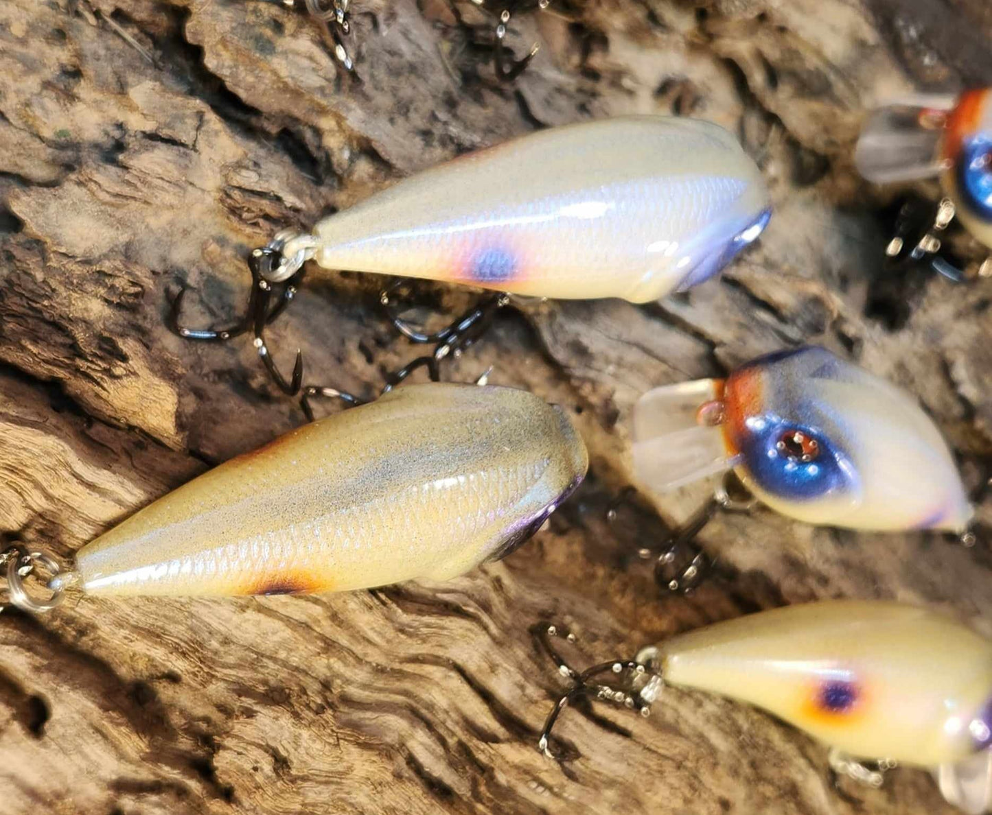 Twelve Oaks Signature Wake