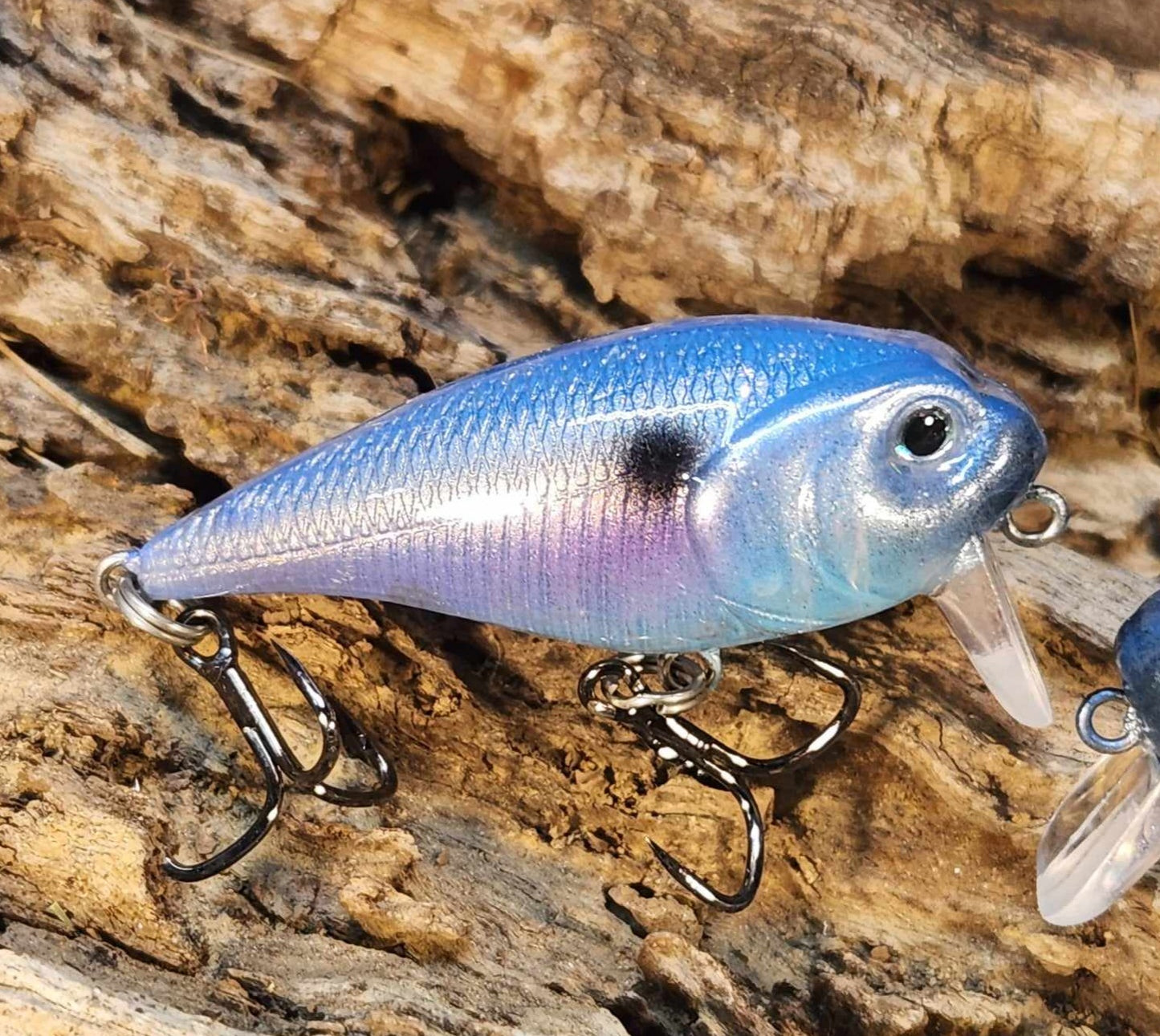 Twelve Oaks Signature Wake