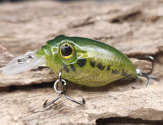 Megabass Griffon ko BFS