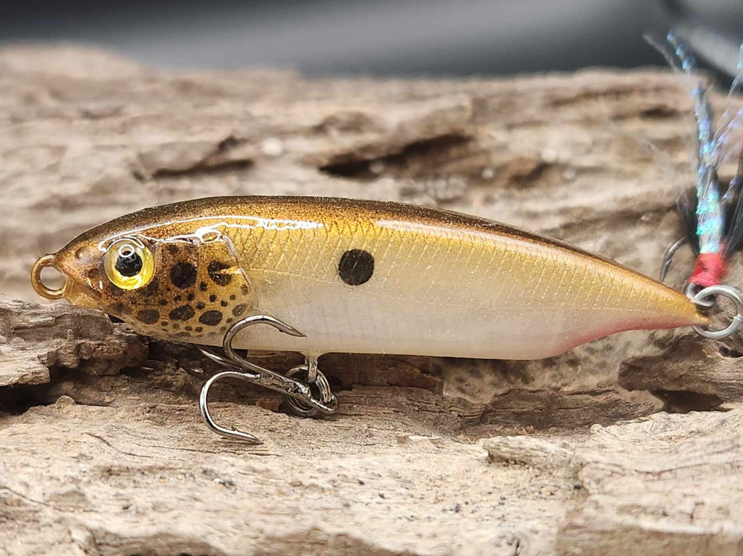 Megabass Karashi 60ko BFS