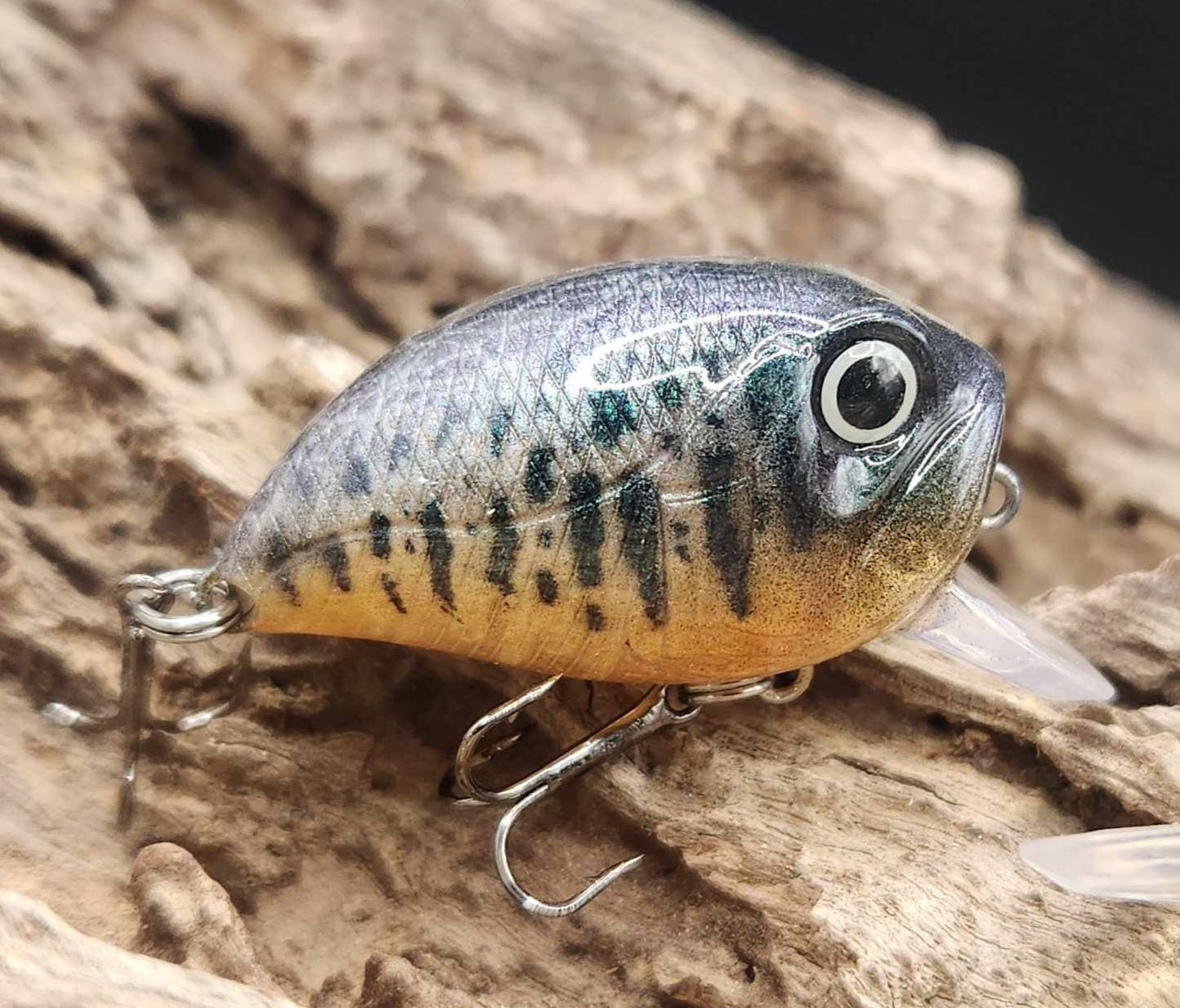 Chubby Crankbait/Wakebait BFS