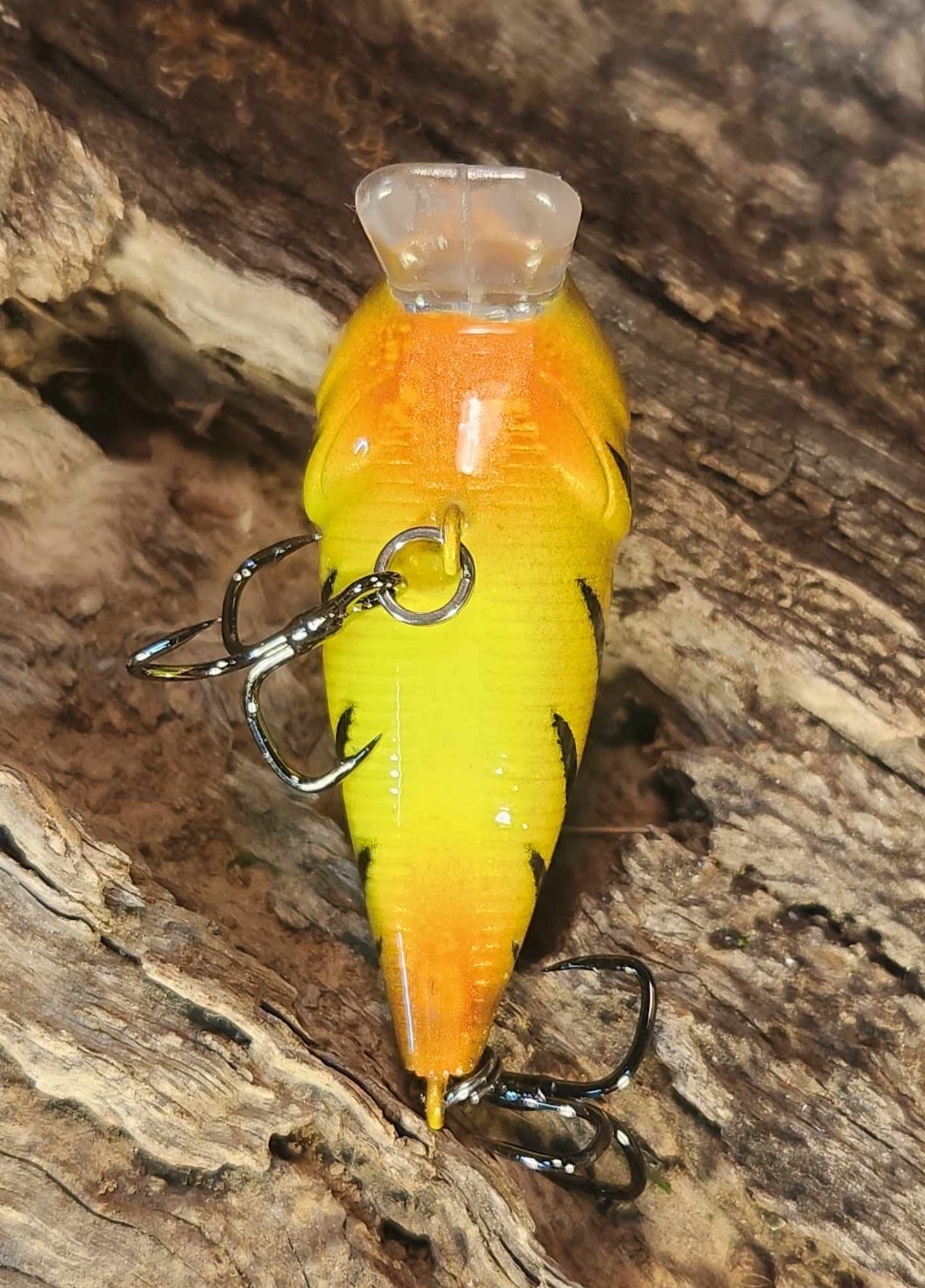 Twelve Oaks Signature Wake