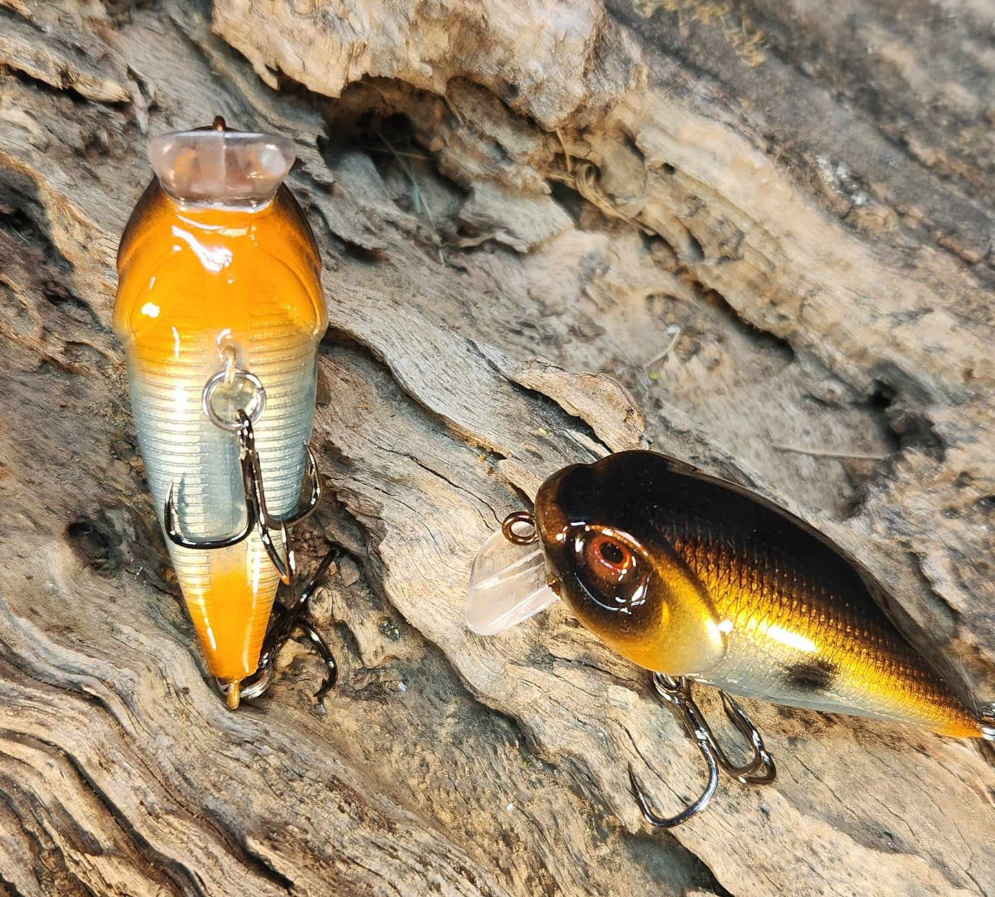 Twelve Oaks Signature Wake