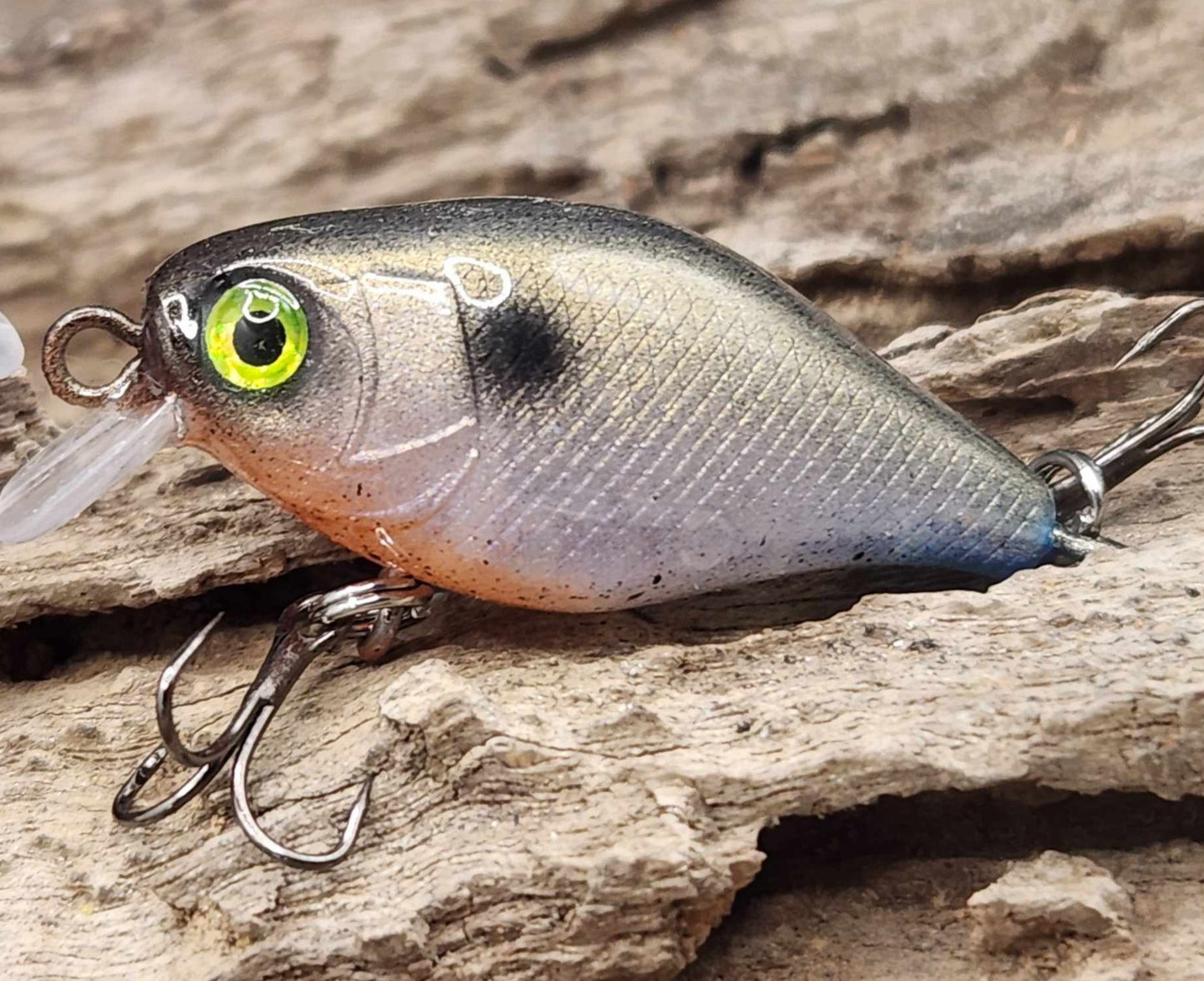 Jackall Chubby 38 ko BFS