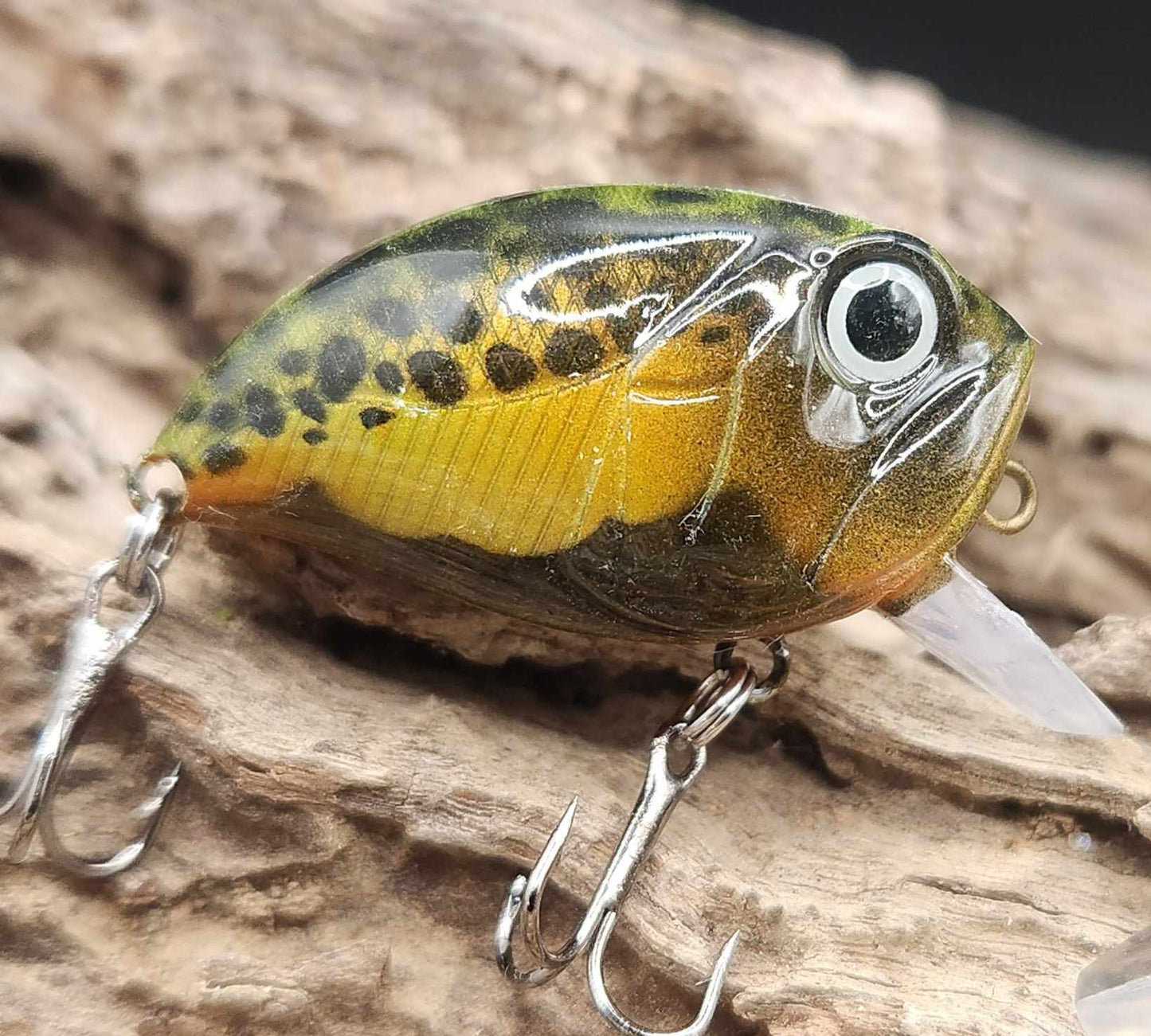 Chubby Crankbait/Wakebait BFS