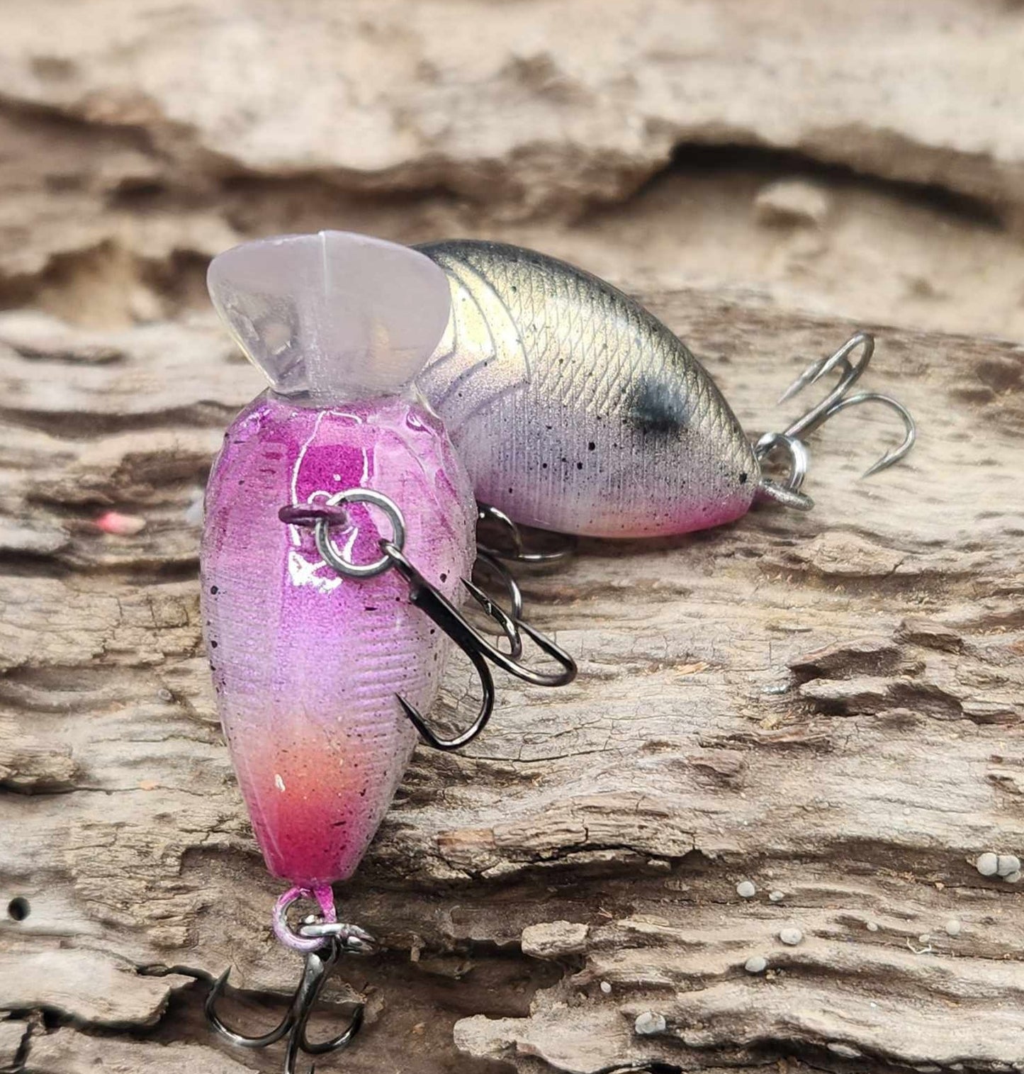 Mini Bubble Wake BFS