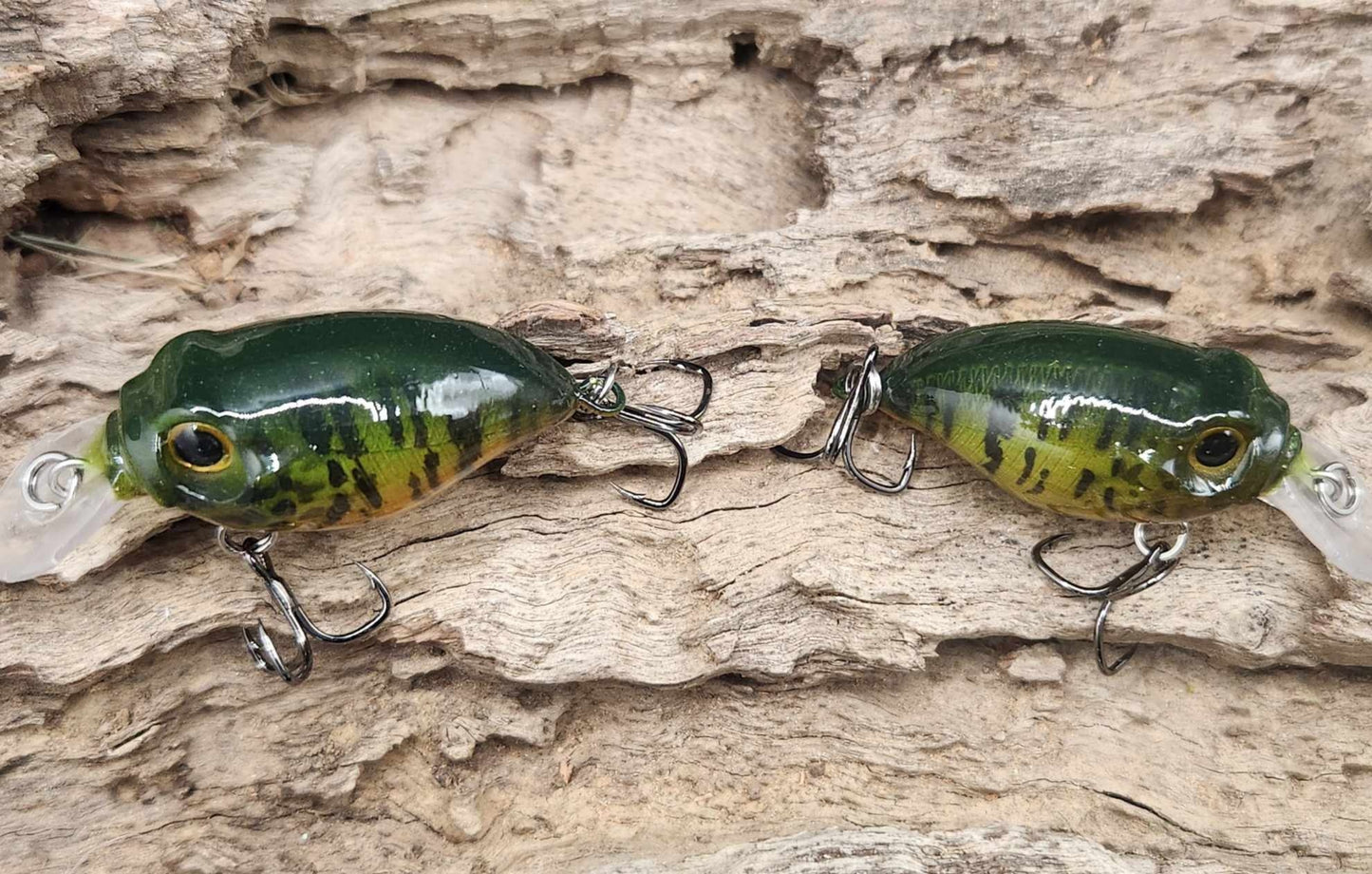 Megabass Griffon BFS