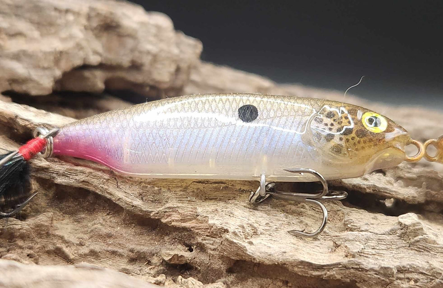 Megabass Karashi 60ko BFS