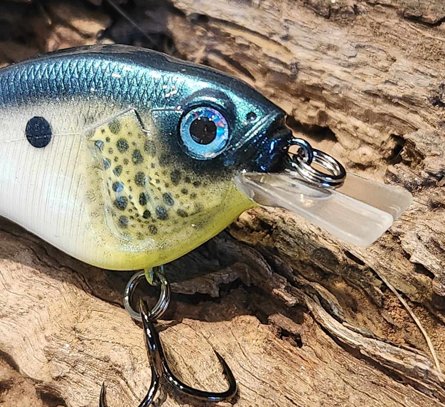 Megabass Sonicside ko. Clearance