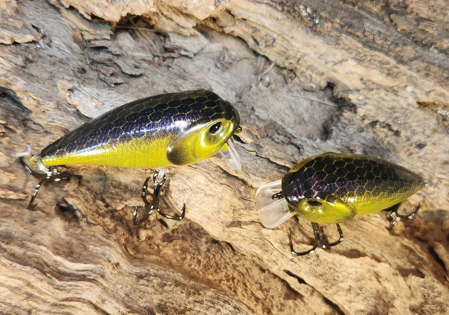 Twelve Oaks Signature Wake