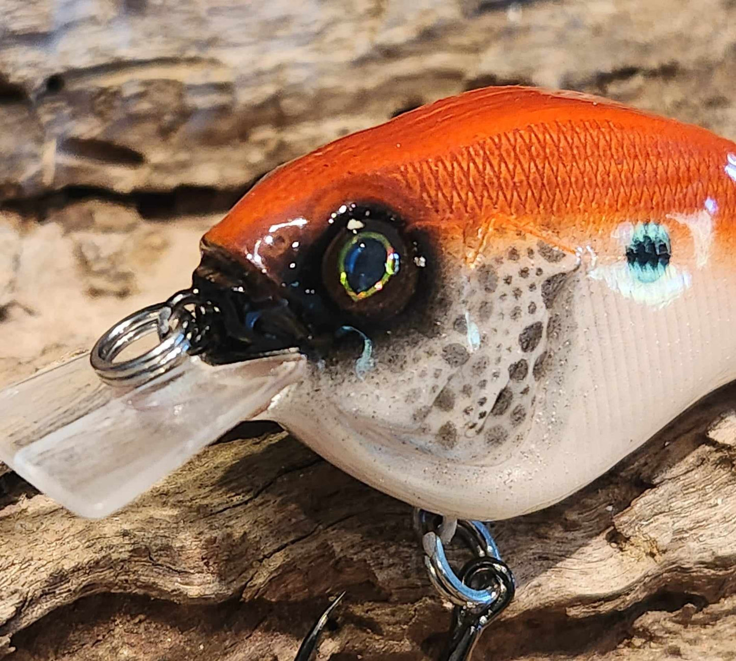 Megabass Sonicside ko. Clearance