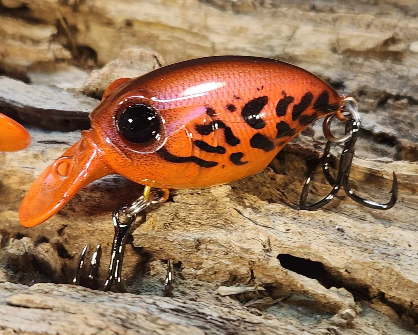 Megabass Griffon ko