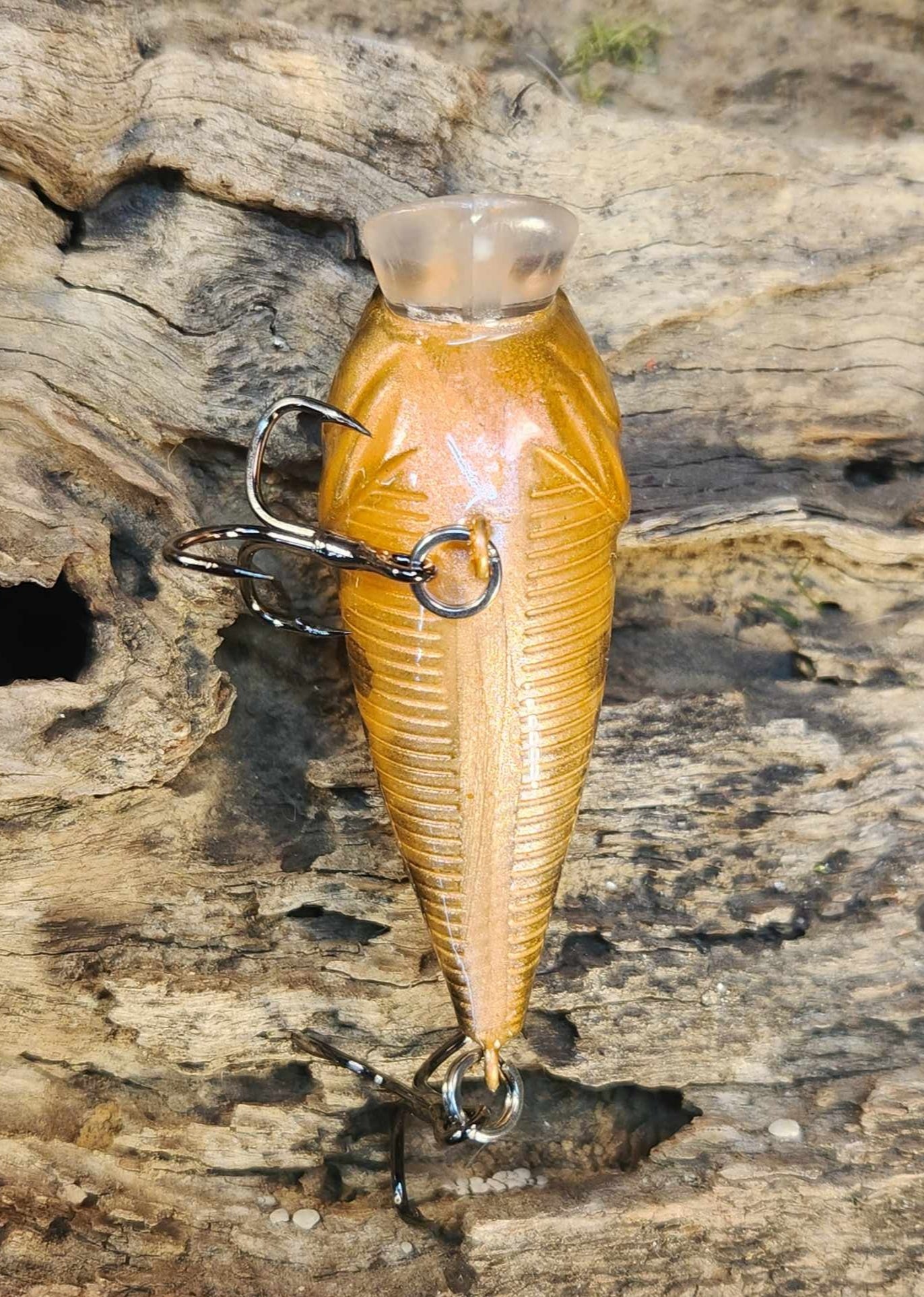 Twelve Oaks Signature Wake⁶